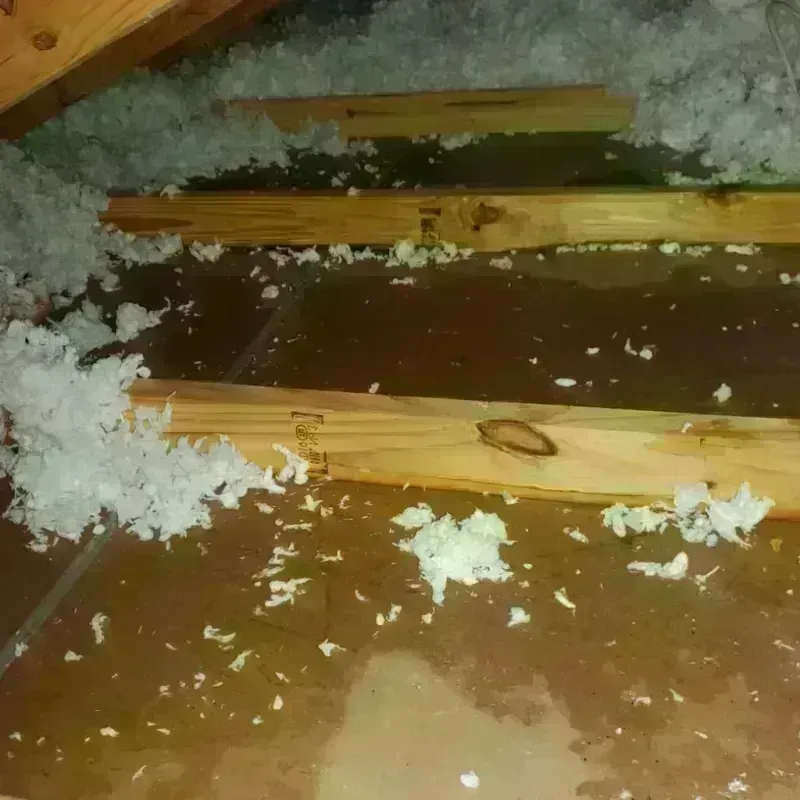 Attic Water Damage in Forest City, FL