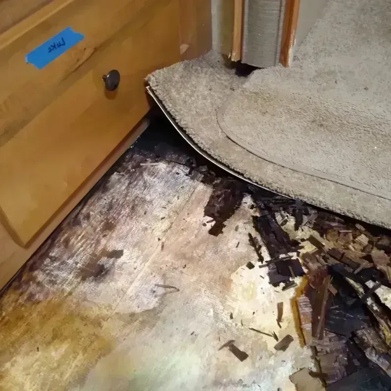 Wood Floor Water Damage in Forest City, FL